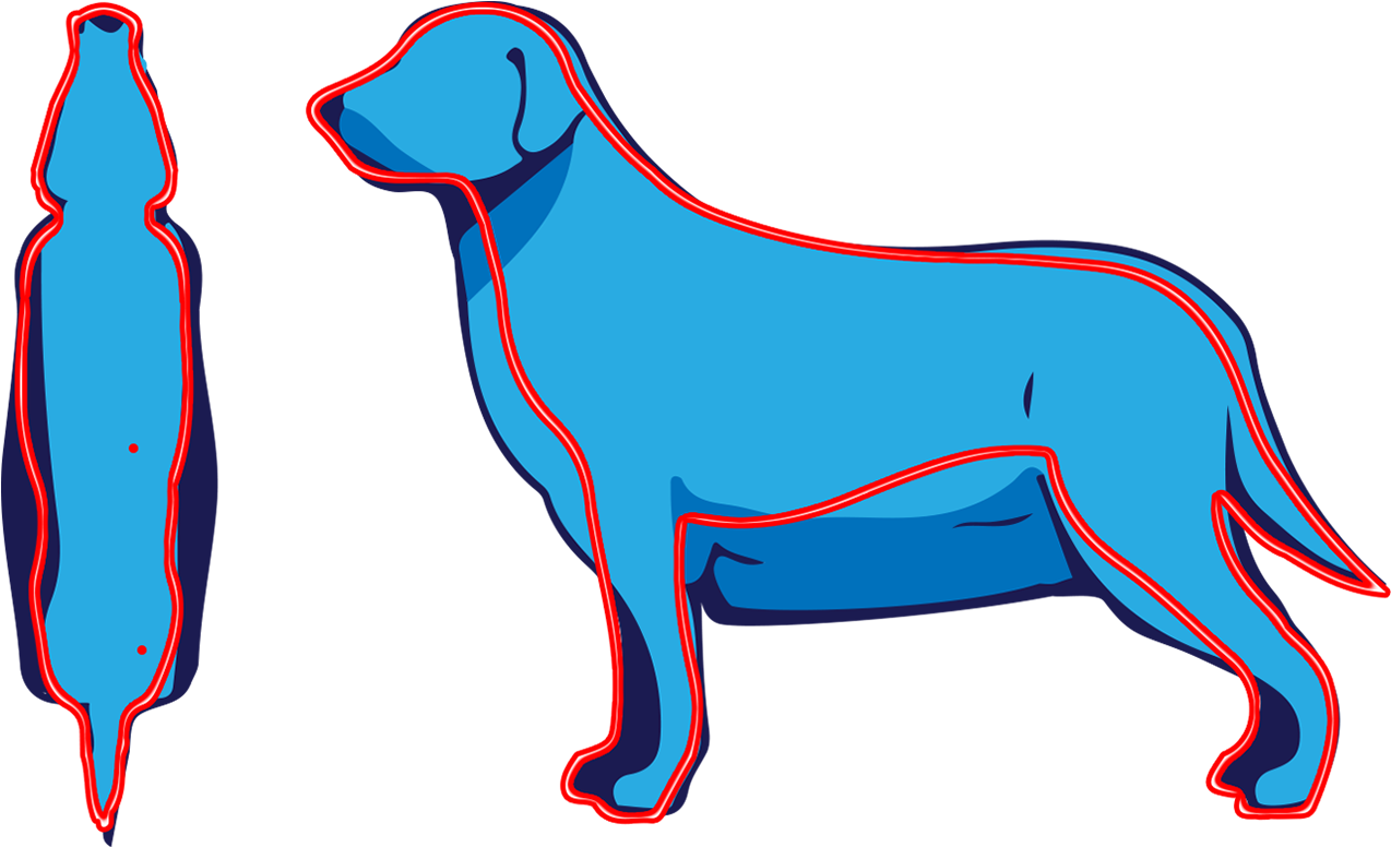 Pet - Pet (1278x795)