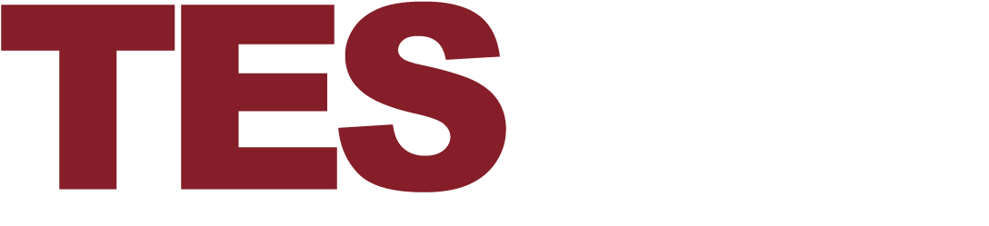 Tesstylist - Graphic Design (1134x278)