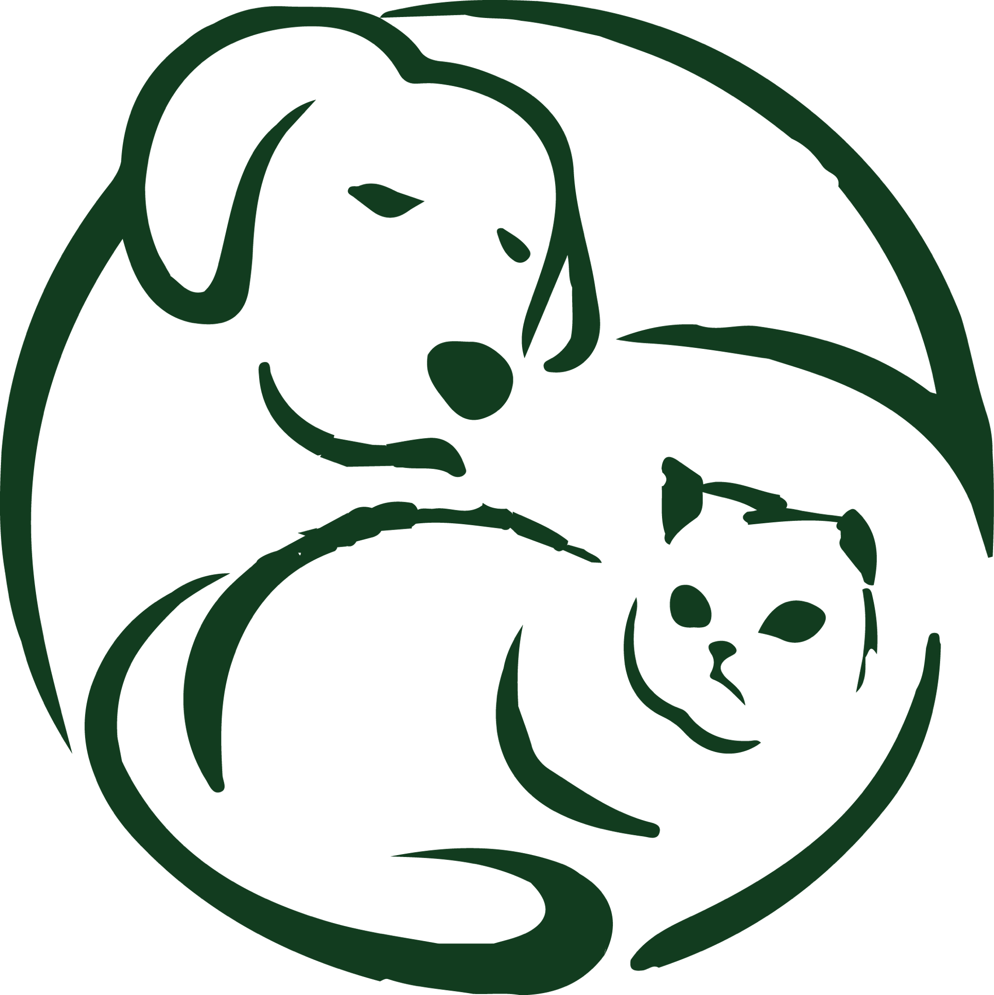 Need A Pet Sitter - Cat (2045x2048)