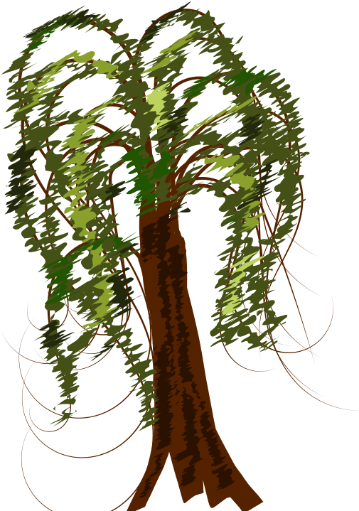 Brown Tree - Weeping Willow (566x800)