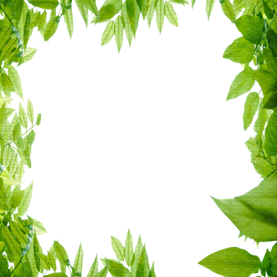 Green Leaves Frame - Nature Frame (400x400)