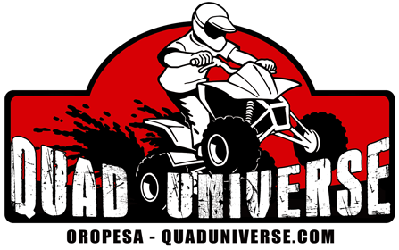 Quad Universe (450x287)