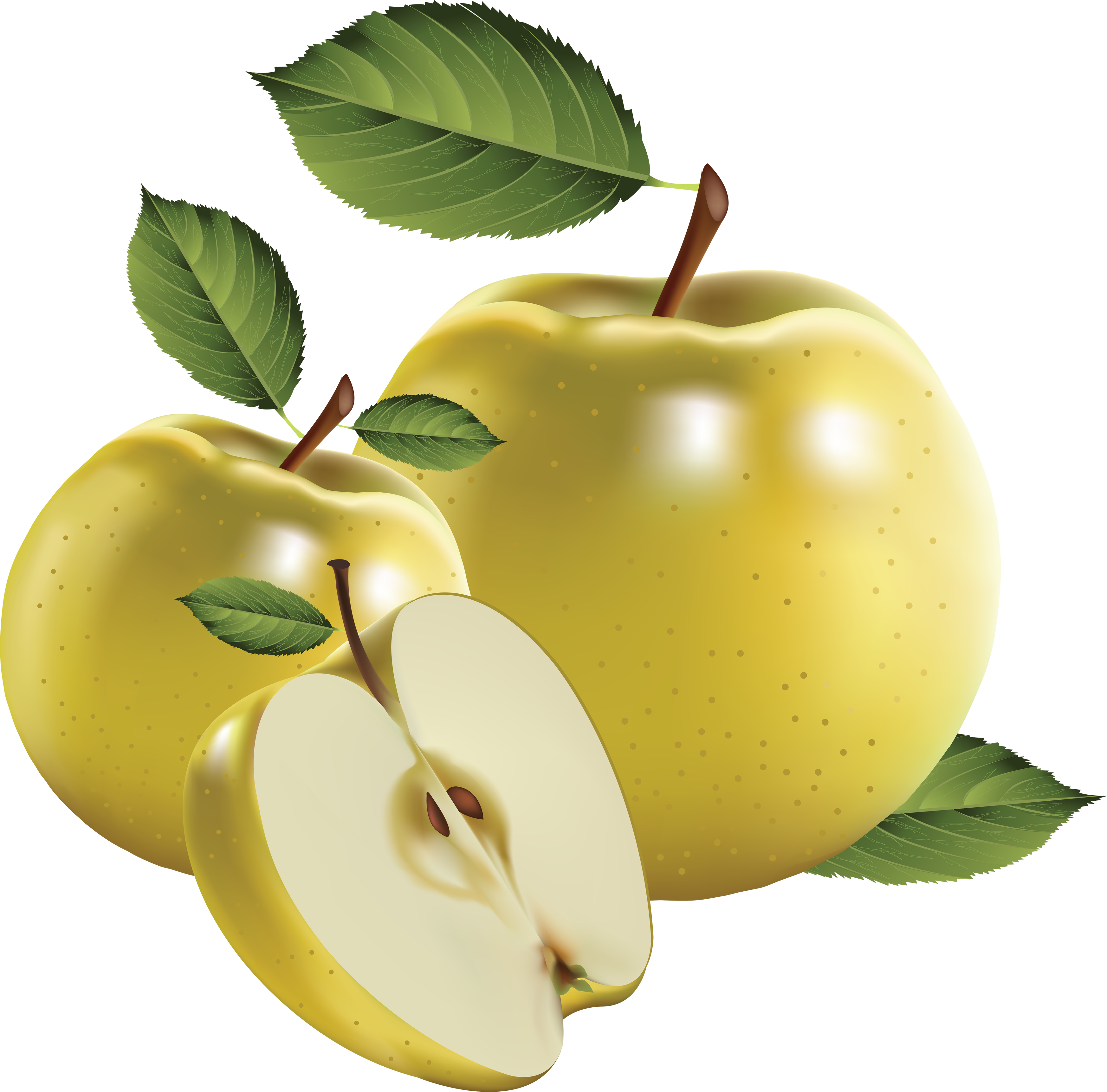 Similar Cliparts - - Free Vector Lemon (3492x3445)