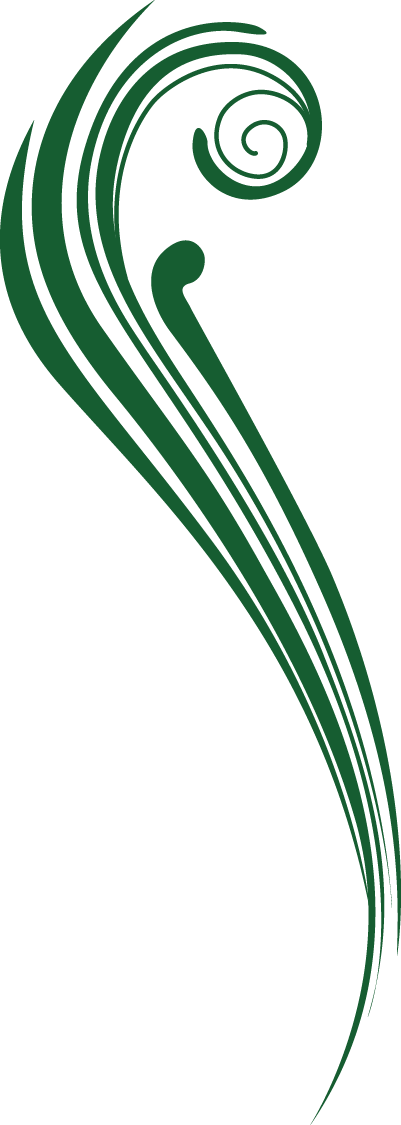 Line Curve Euclidean Vector - Line Curve Euclidean Vector (401x1125)