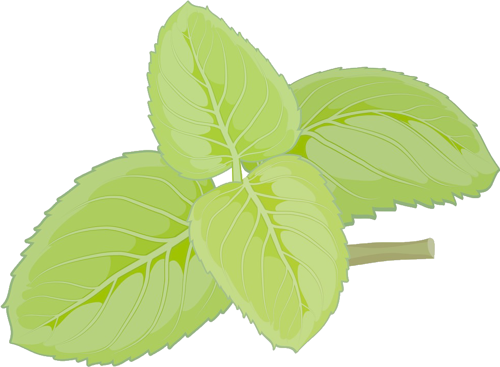 Mint Euclidean Vector - Mint Euclidean Vector (1363x1281)