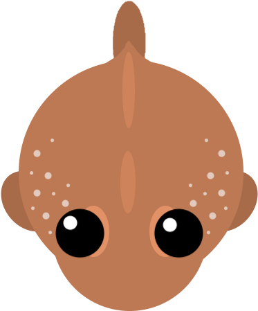 Mudskipper - Illustration (500x500)