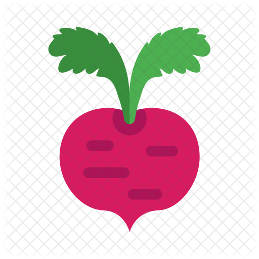Beet Icon - Sugar Beet Icon (512x512)