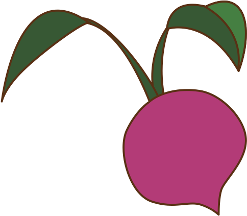 Beetroot Icon - Beetroot Icon (550x550)