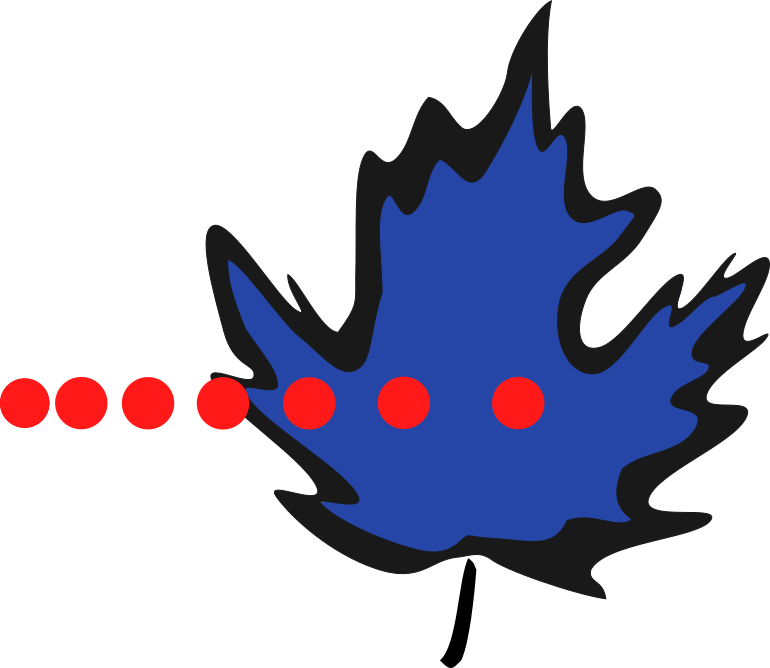 Maple Leaf With Neutrons - Maple Leaf (770x668)