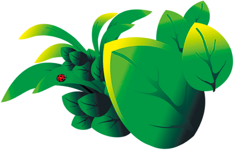 Leaf Cartoon Animation - Wallpaper (1000x901)