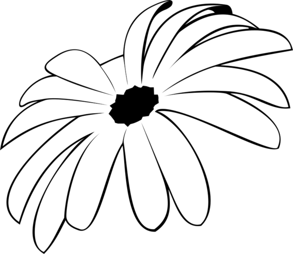 Spider Mum Rubber Stamp - Chamomile (600x520)