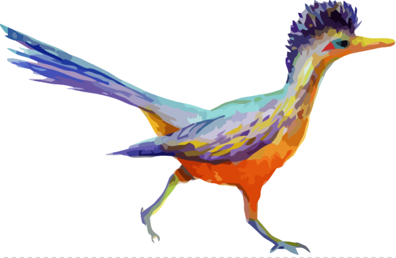 Road Runner Image - Texas Roadrunner Watercoloring (792x516)