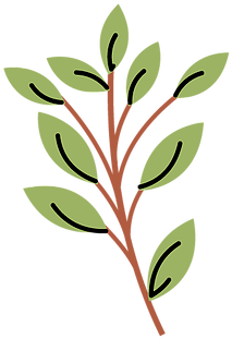 $35 Delivery Charge - Twig (389x389)