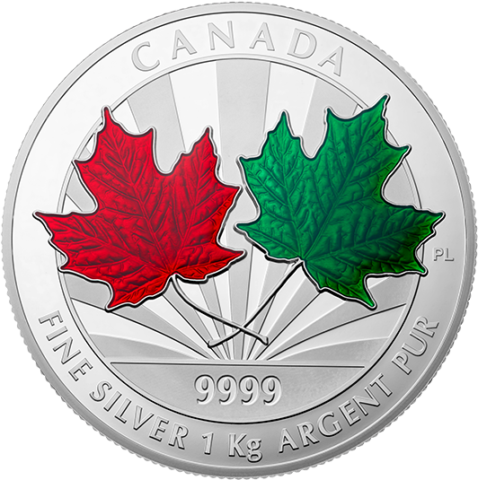 Coin (570x570)