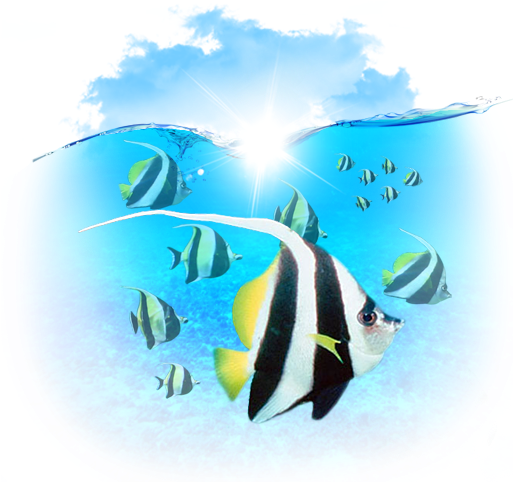 Fish Icon - Fish (512x512)