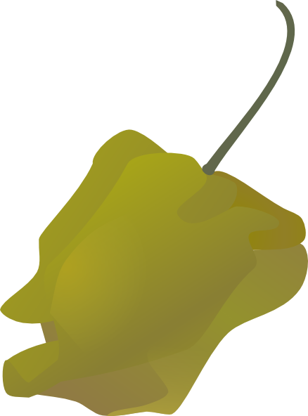 Habanero (438x592)