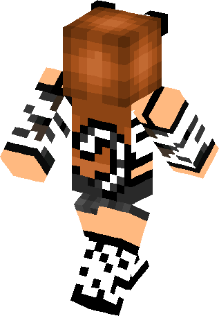 Installation - Minecraft (317x456)