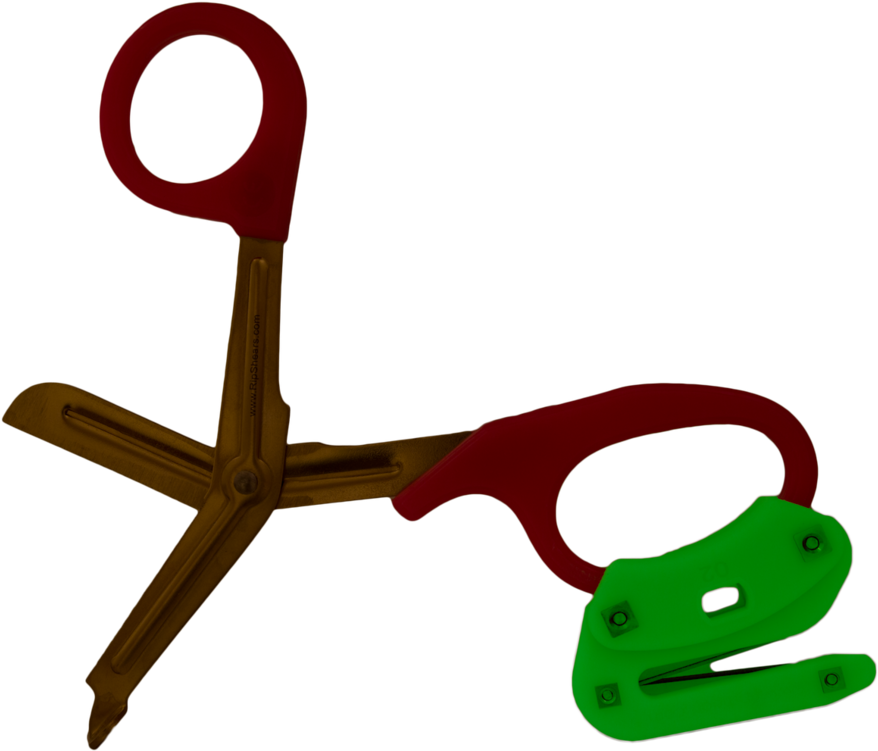 Firefly Clip Art (1000x750)