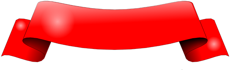 Banner Red Graphic - Bed Bug (960x292)