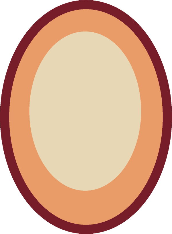 Cat's Eye Gem - Gemstone (600x817)