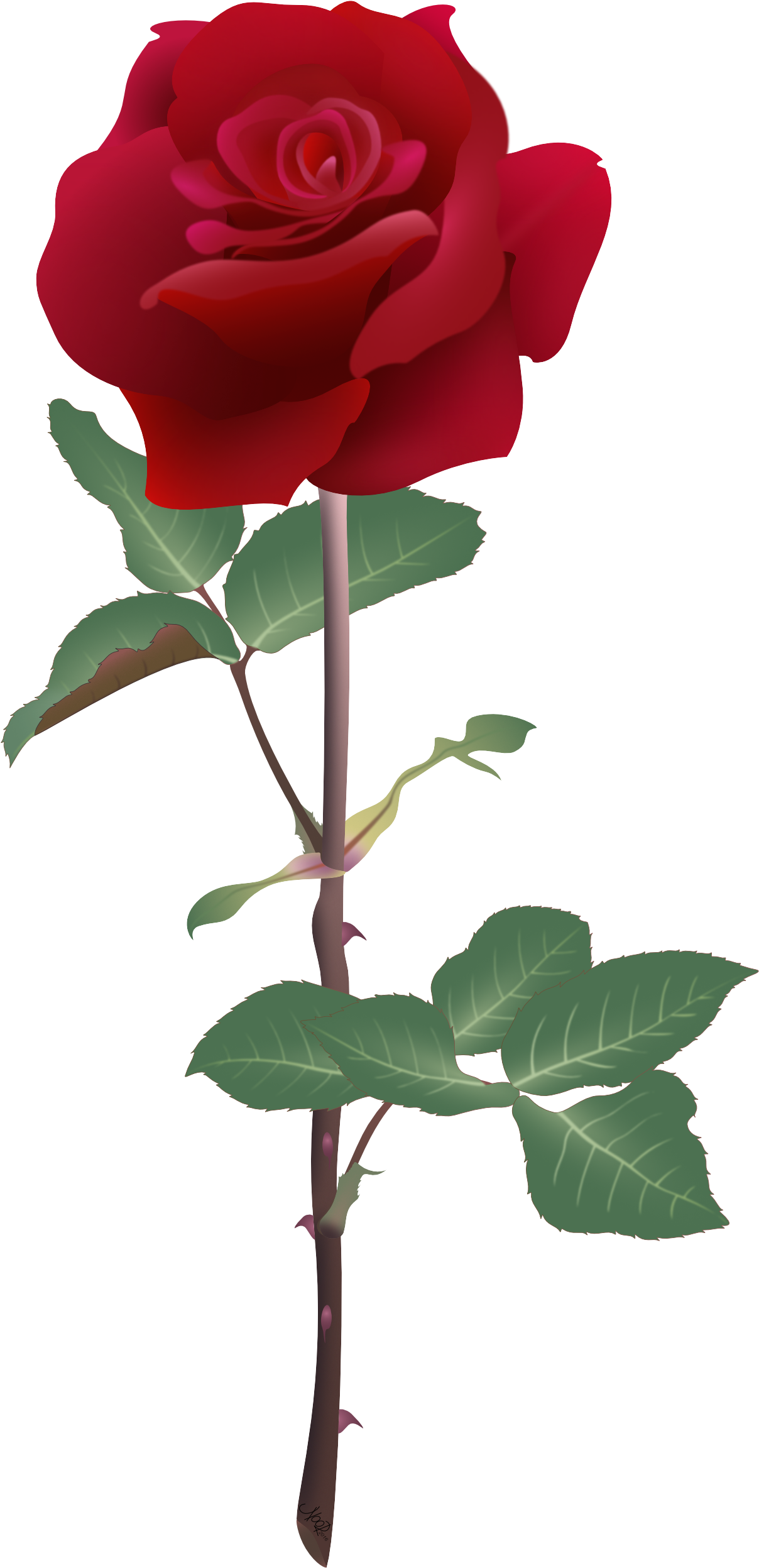 Rubyrose@2x - Ruby Rose (1788x2888)