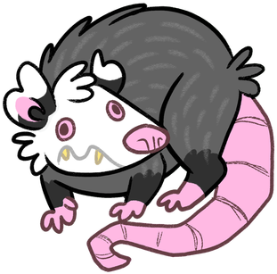 Allison - Opossum (350x350)