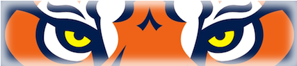 Created With Raphaël - Auburn Tiger Eyes (630x280)