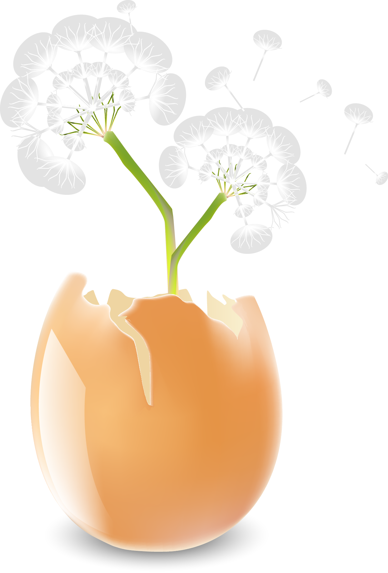 Euclidean Vector Dandelion - Euclidean Vector Dandelion (1242x1835)