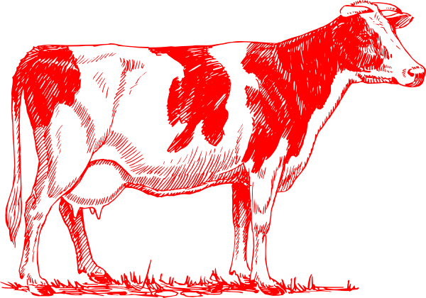 Cow Vector (600x420)