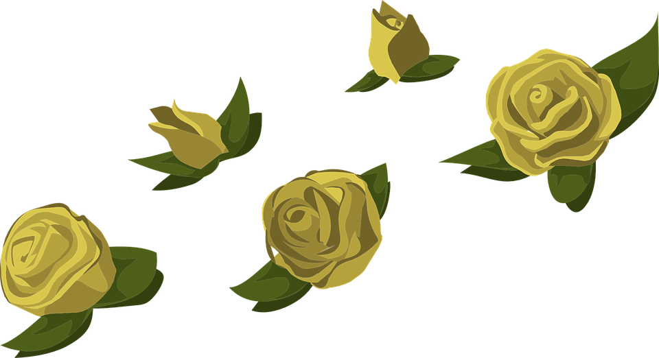 Image - Flower (960x522)