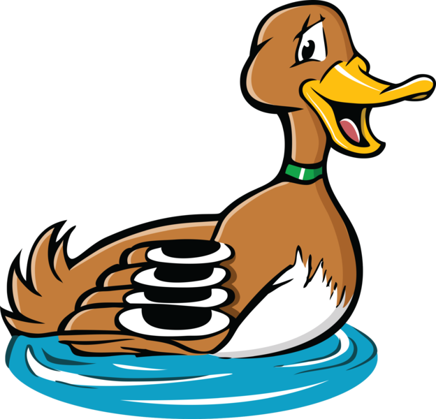 Duck1 - - Duck (624x600)