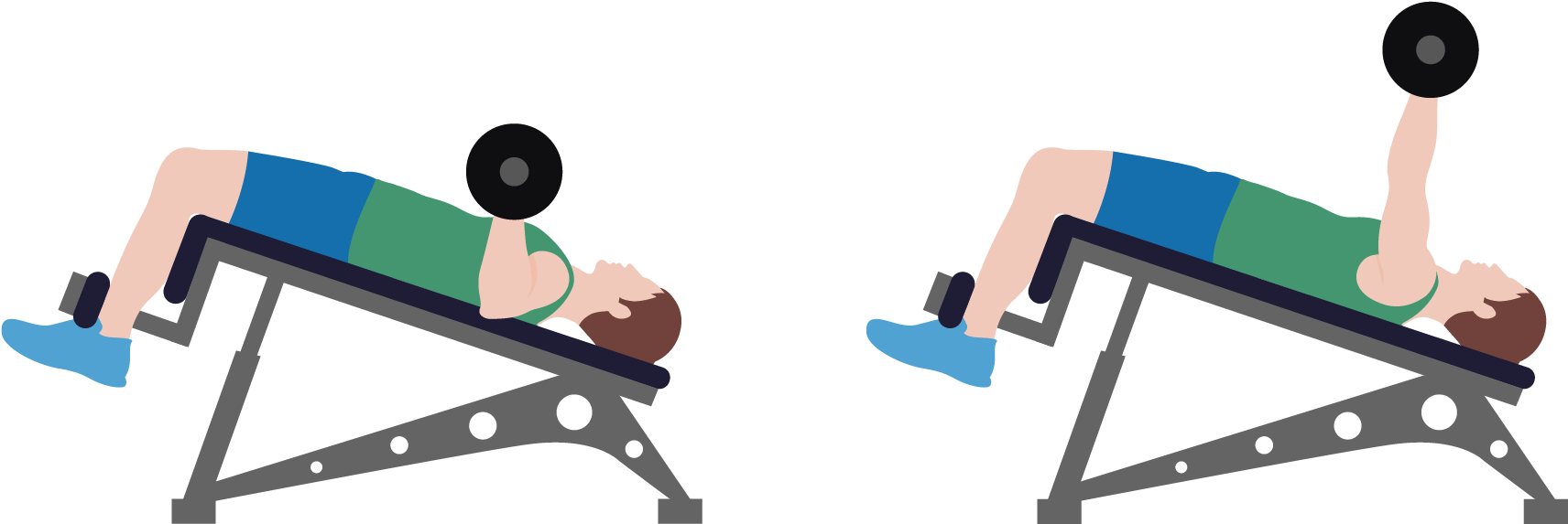 Decline Dumbbell Bench Press - Dumbbell (2043x911)