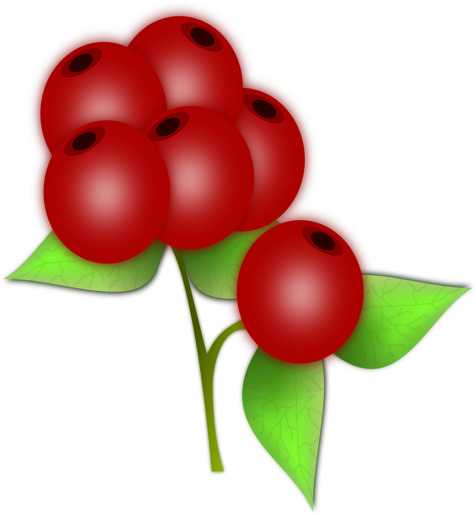 Free Holly Clipart - Acid Alkaline Diet Journal (1697x2400)
