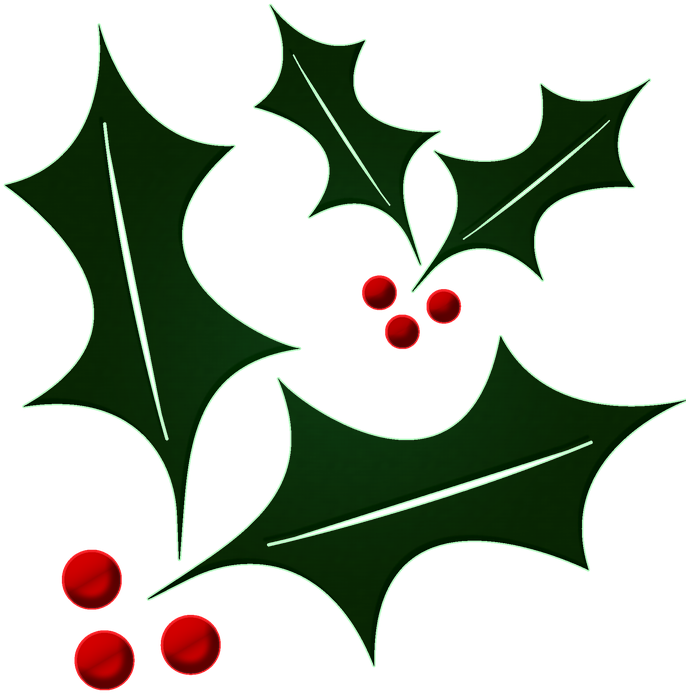 Ilex Cornuta (1280x1280)