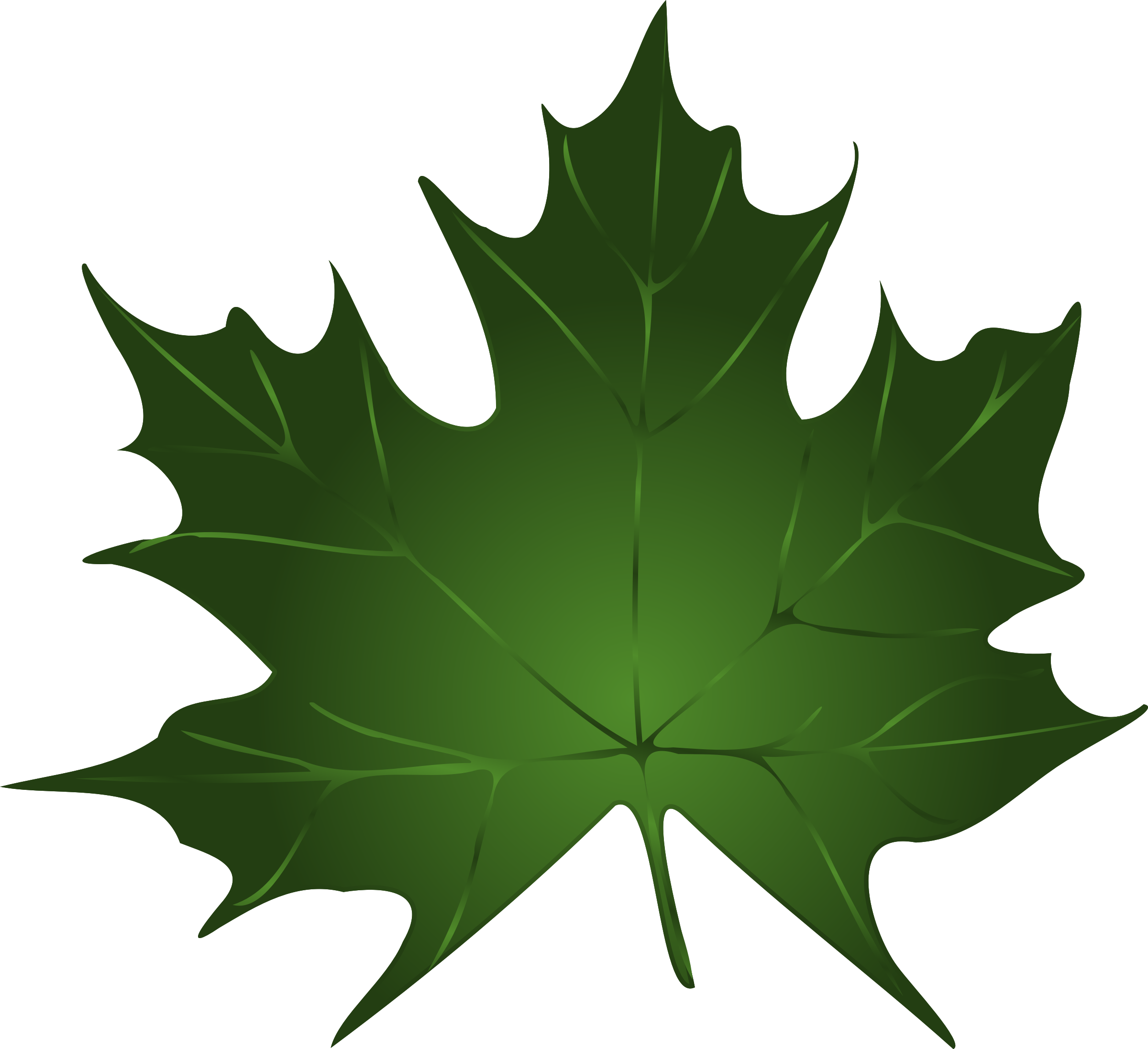 Canadian Maple Leaves (2400x2194)