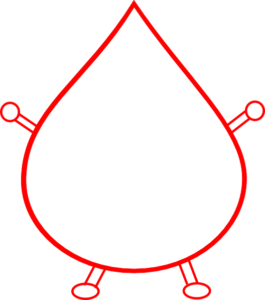 Circle (528x597)