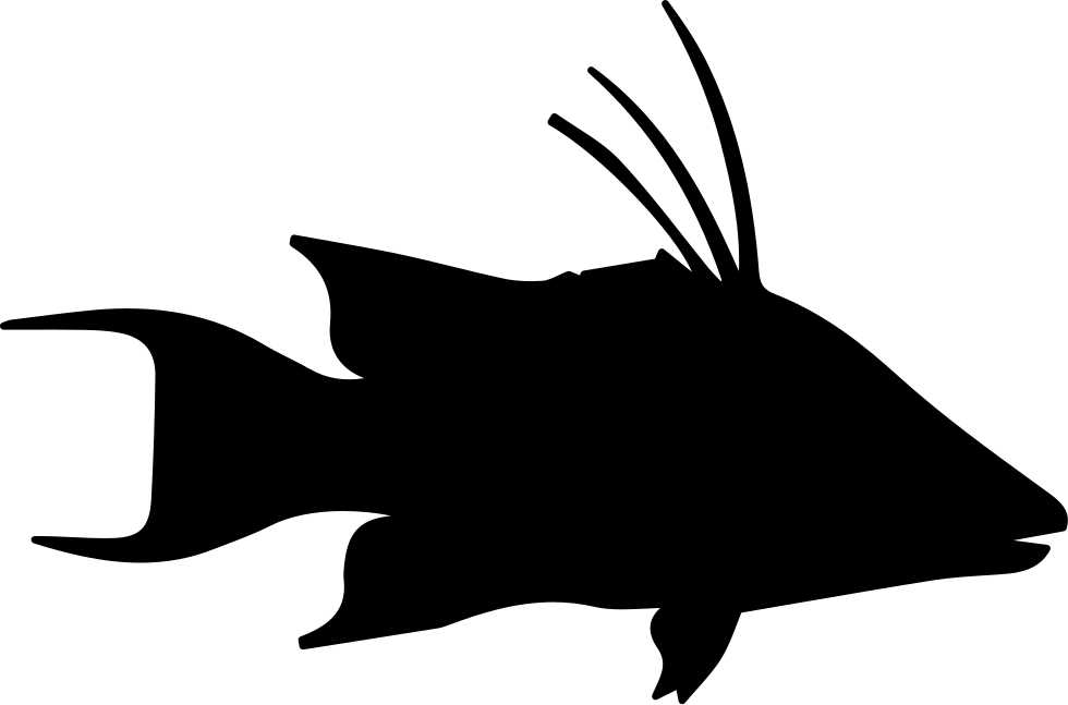 Fish Hog Snapper Shape Comments - Shape (980x647)