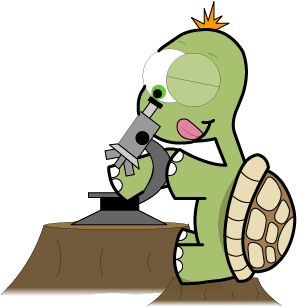 You As A Scientist - Turtle Scientist (355x368)