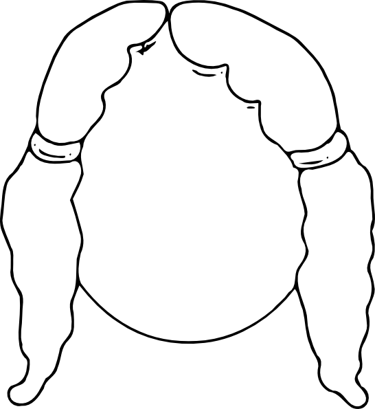 Girl Face Outline (546x595)