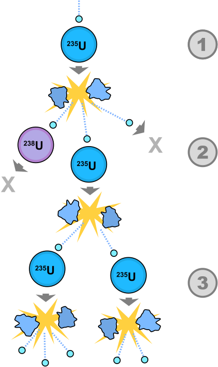 Https - //upload - Wikimedia - - Nuclear Fission (497x766)