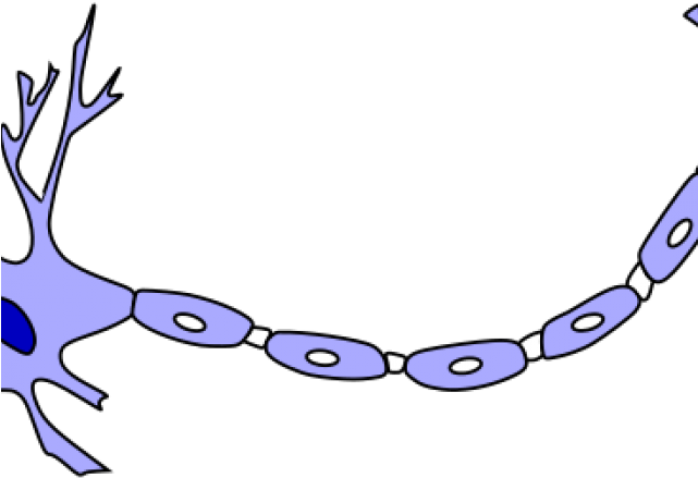 Neuron Clipart Model A - Neuron Cartoon (640x480)