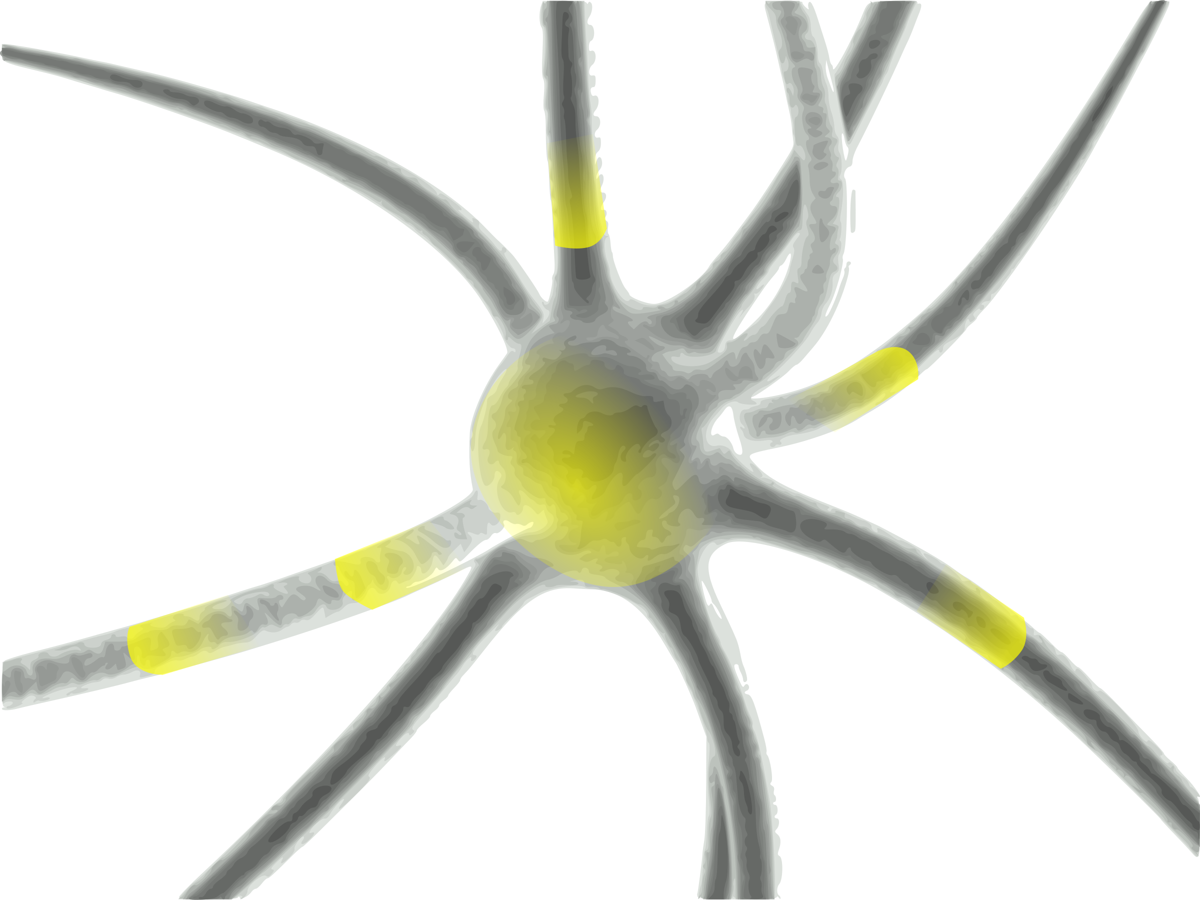 Synapses Transparent (2400x1800)