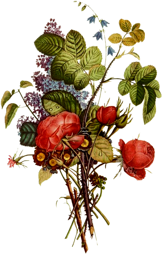 Jpeg - Jl Prevost (758x1000)