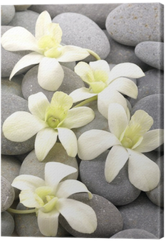 Go To Image - Orchids (400x400)