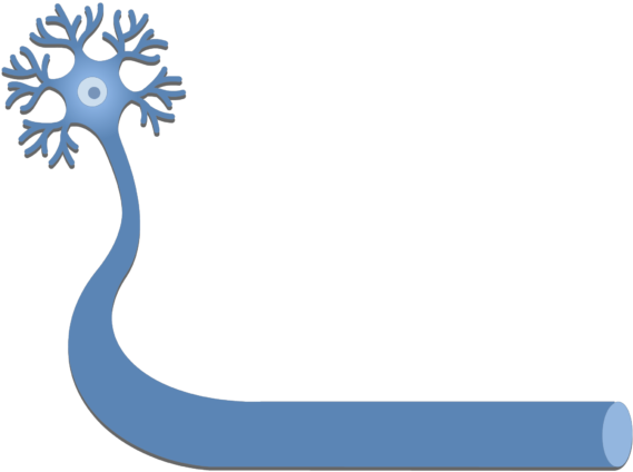 An Image Showing A Neuron With It's Axon - Neuron (724x550)