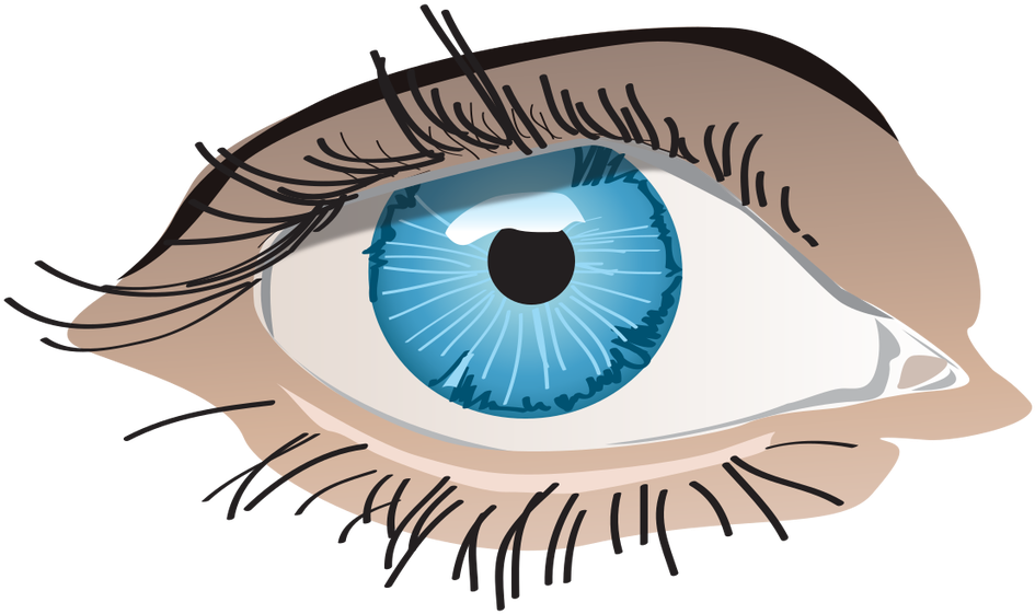 Eye Euclidean Vector - Ojo Png (1024x1024)