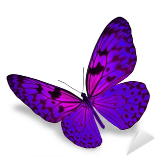 Two Butterflies Purple (400x400)