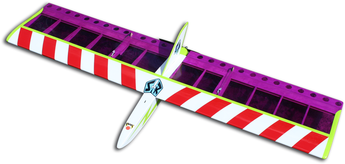 Birdy Flying Wing - Birdy (750x342)