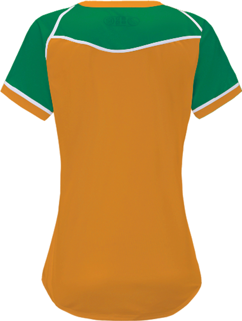Polo Shirt (800x800)