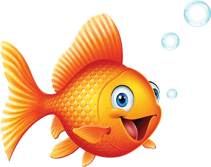 Pets Unleashed Goldfish - Pets Unleashed Vbs (420x333)